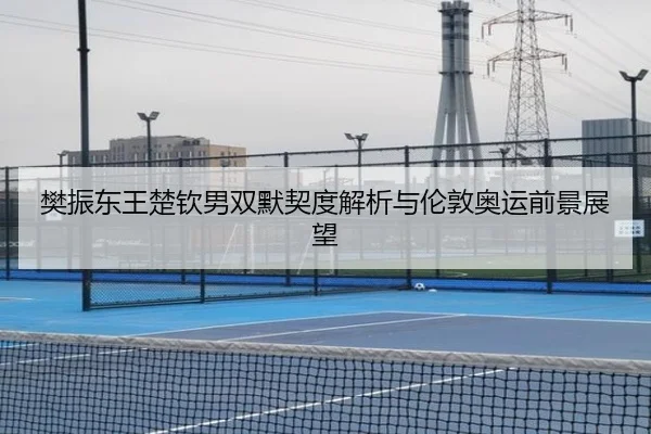 樊振东王楚钦男双默契度解析与伦敦奥运前景展望