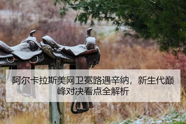 阿尔卡拉斯美网卫冕路遇辛纳，新生代巅峰对决看点全解析