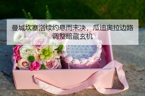 man-cheng-kan-sai-luo-xu-yue-xuan-er-wei-jue-gua-di-ao-la-bian-lu-tiao-zheng-an-cang-xuan-ji-3-863.jpg