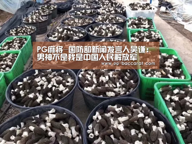 PG麻将-国防部新闻发言人吴谦:男神不是我是中国人民解放军(图1) PG麻将
