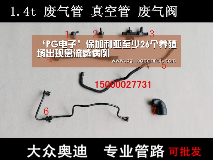 ‘PG电子’保加利亚至少26个养殖场出现禽流感病例(图2) PG虎机